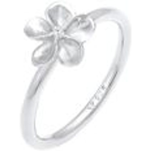 Ring Frangipani Blüte Blume Zirkonia 925 Silber (Farbe: Silber, Größe: 58 mm) - NENALINA - Modalova