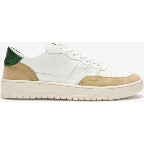 Pillar Alpha Sneaker Collegium - Collegium - Modalova