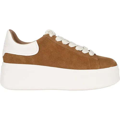 Casual Sneakers for Everyday Wear , female, Sizes: 8 UK, 6 UK - Ash - Modalova