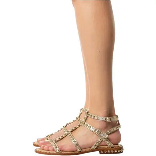 Flat Leather Sandals with Gold Studs , female, Sizes: 3 UK - Ash - Modalova