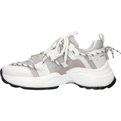 Tazmania Low-Top Sneakers , Damen, Größe: 37 EU - Steve Madden - Modalova