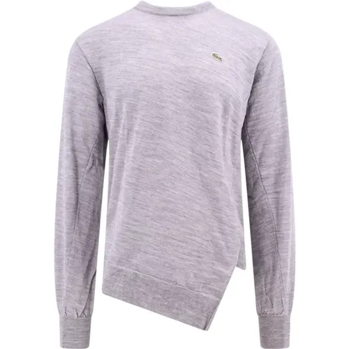 Grey Knitwear Crew-neck Sweater , male, Sizes: L - Comme des Garçons - Modalova