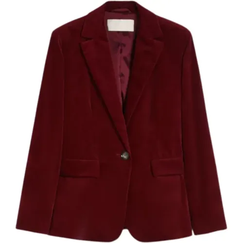 Bordeaux Velvet Blazer Jacket , female, Sizes: M - Iblues - Modalova