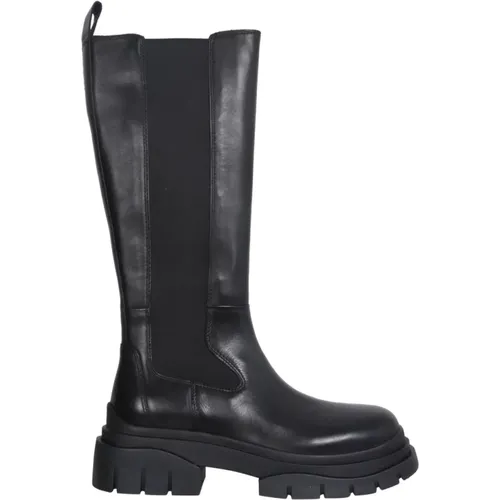 High Boots , female, Sizes: 7 UK, 8 UK - Ash - Modalova
