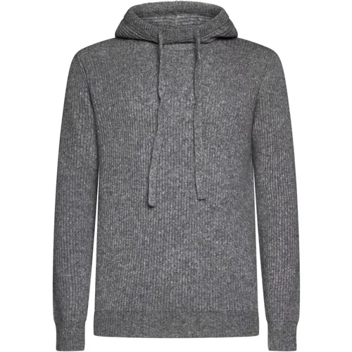 Grey Hooded Sweater Cappuccio , male, Sizes: L, M, XL - Roberto Collina - Modalova