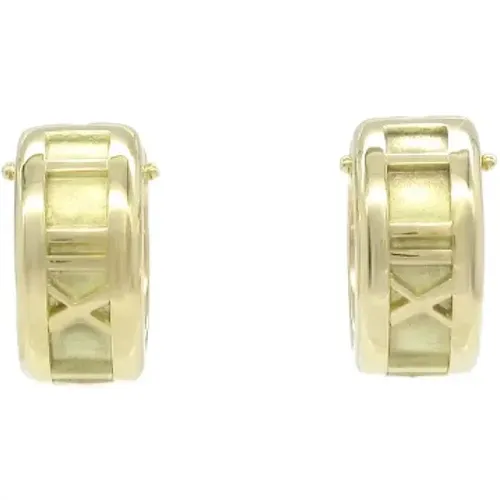 Pre-owned Metal earrings , female, Sizes: ONE SIZE - Tiffany & Co. Pre-owned - Modalova