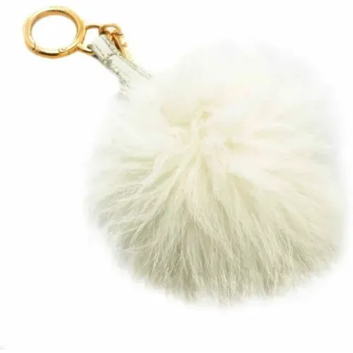 Pre-owned Fur home and office accessories , female, Sizes: ONE SIZE - Fendi Vintage - Modalova