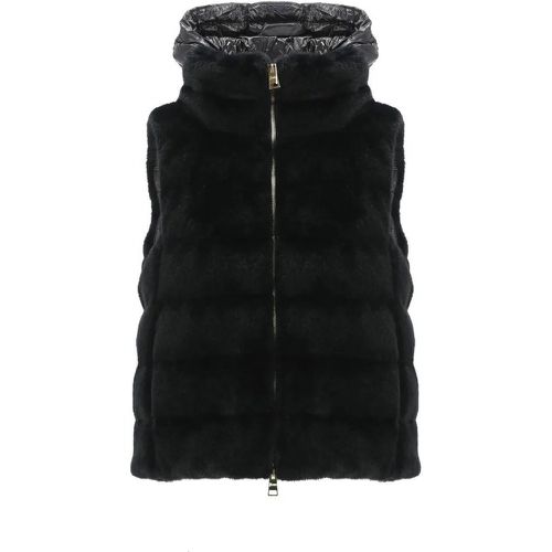 Vest With Faux Fur - Größe 44 - schwarz - Herno - Modalova