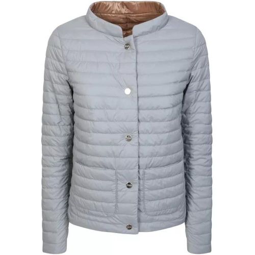 Grey/Beige Padded Snap Fastening Jacket - Größe 40 - grau - Herno - Modalova