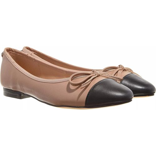 Ballerinas - Ellison - Gr. 36 (EU) - in - für Damen - Steve Madden - Modalova