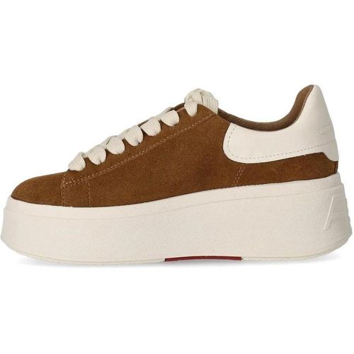 Low-Top Sneaker - MOBY SUEDE GARDENIA SNEAKER - für Damen - Ash - Modalova