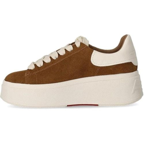 Sneakers - MOBY SUEDE GARDENIA SNEAKER - für Damen - Ash - Modalova