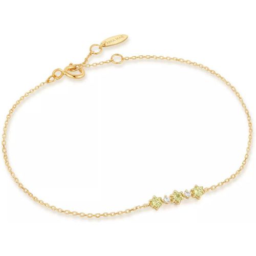 Armband - Wild Meadow 585er Golden Armband AH-BAU0 - Gr. ONE SIZE - in - für Damen - Ania Haie - Modalova