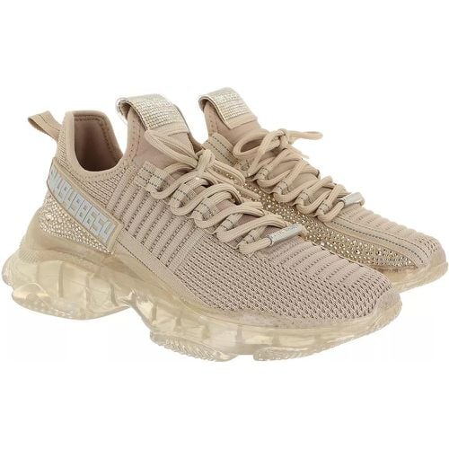 Sneaker - Maxilla-R - Gr. 39 (EU) - in - für Damen - Steve Madden - Modalova