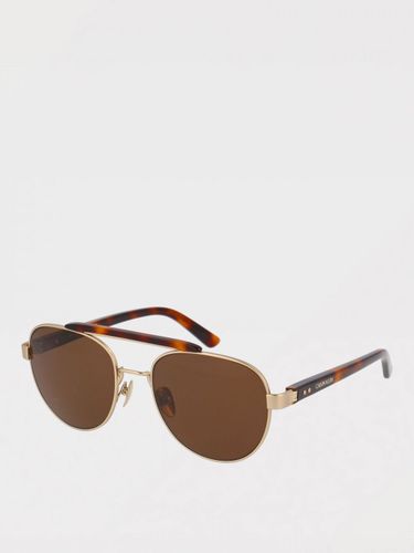 Sunglasses Men color Brown - Calvin Klein - Modalova