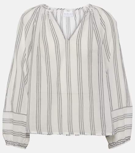 Gianna embroidered striped cotton top - Velvet - Modalova