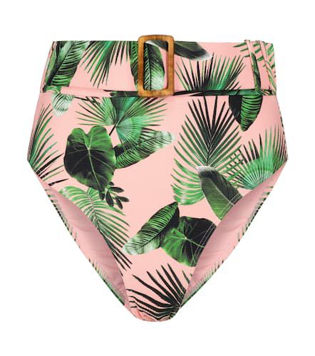 Ursula palm-print bikini bottoms - Alexandra Miro - Modalova