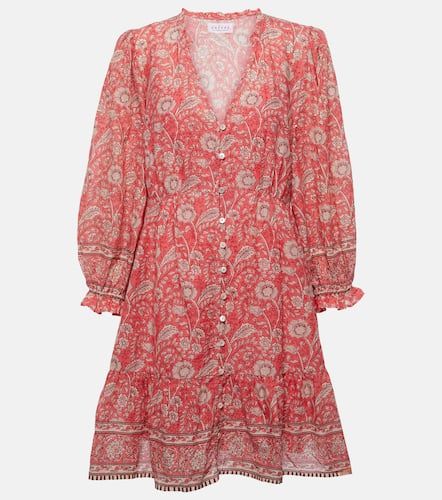 Velvet Robe Mary en coton à fleurs - Velvet - Modalova