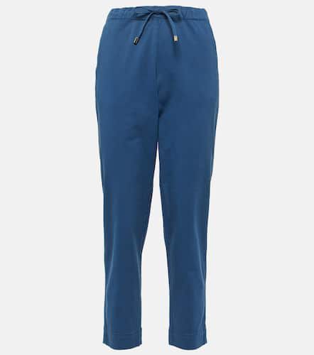 Cropped-Hose Terreno aus Baumwolle - Max Mara - Modalova