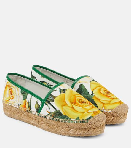 Bedruckte Espadrilles aus Canvas - Dolce&Gabbana - Modalova