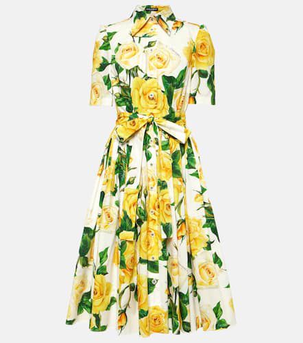 Floral cotton poplin shirt dress - Dolce&Gabbana - Modalova