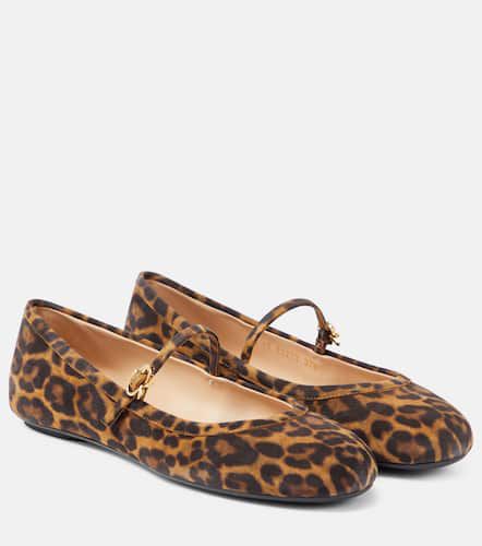 Carla leopard-print suede ballet flats - Gianvito Rossi - Modalova