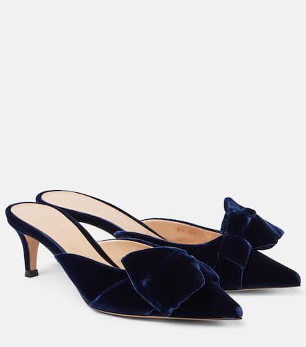 Mules 55 in denim con fiocco - Gianvito Rossi - Modalova