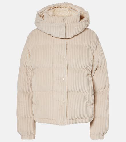 Chaqueta de plumas Daos de pana - Moncler - Modalova