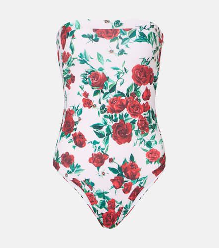 Whitney floral belted swimsuit - Alexandra Miro - Modalova