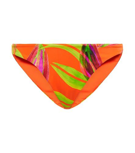 Slip bikini con stampa - Louisa Ballou - Modalova