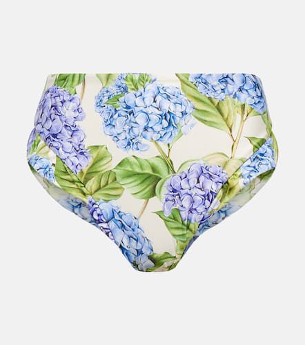 Slip bikini Jengibre Hortensia con stampa floreale - Agua by Agua Bendita - Modalova