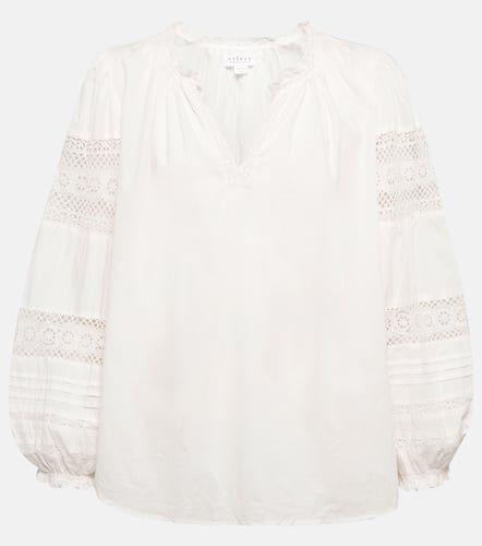 Velvet Tayler cotton blouse - Velvet - Modalova