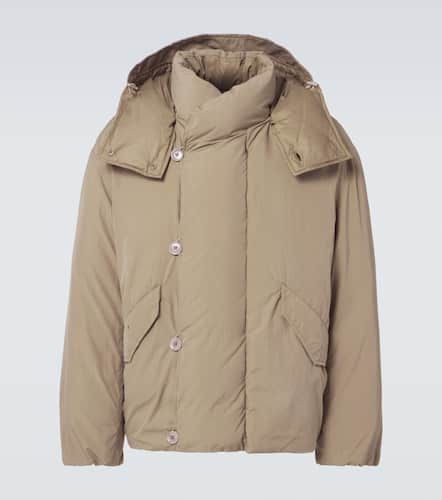 Lemaire Cotton-blend down jacket - Lemaire - Modalova