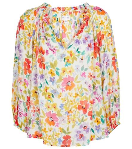 Velvet Blusa floral Tyra - Velvet - Modalova