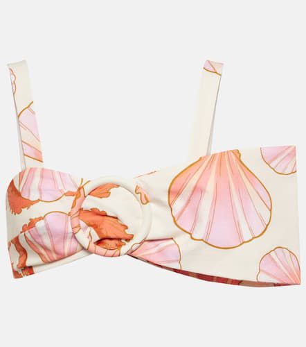 Bikini-Oberteil Seashell - Adriana Degreas - Modalova