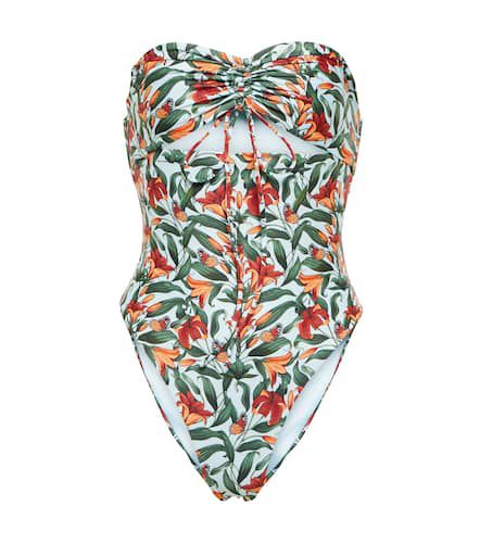 Monarca printed cutout swimsuit - Agua by Agua Bendita - Modalova