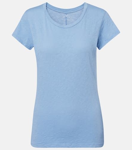 Velvet T-shirt Odelia in cotone - Velvet - Modalova
