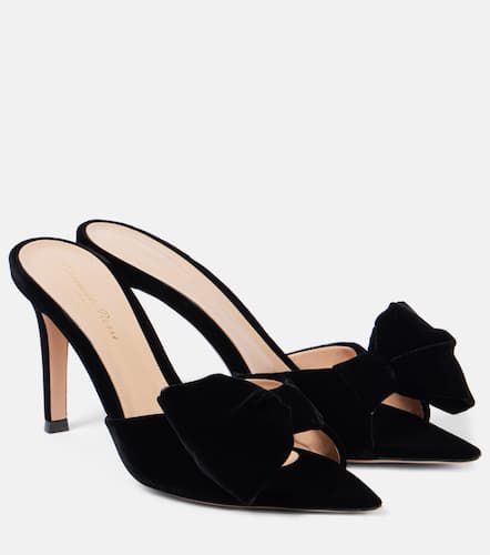 Bow-detail velvet mules - Gianvito Rossi - Modalova