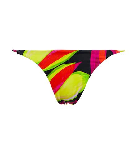 Mini Ring high-rise bikini bottoms - Louisa Ballou - Modalova