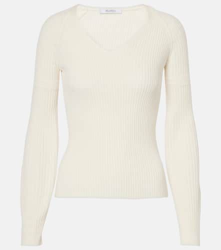 Pullover Gioiosa in cotone a coste - Max Mara - Modalova