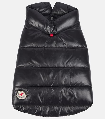 Chaleco acolchado para perro Poldo Dog Couture - Moncler - Modalova