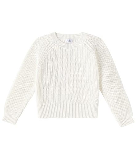 Jersey acanalado de algodón - Il Gufo - Modalova
