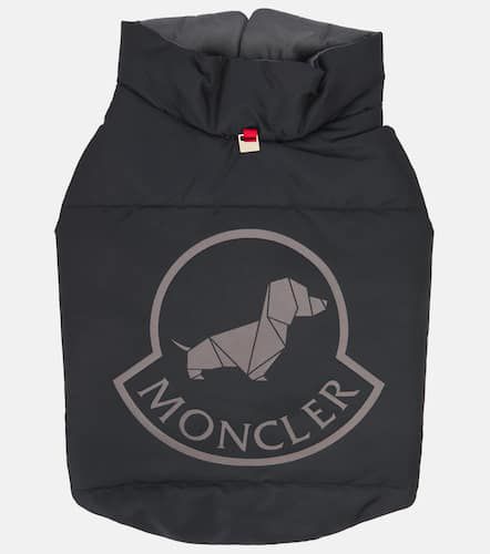 Chaleco acolchado para perro Poldo Dog Couture - Moncler - Modalova