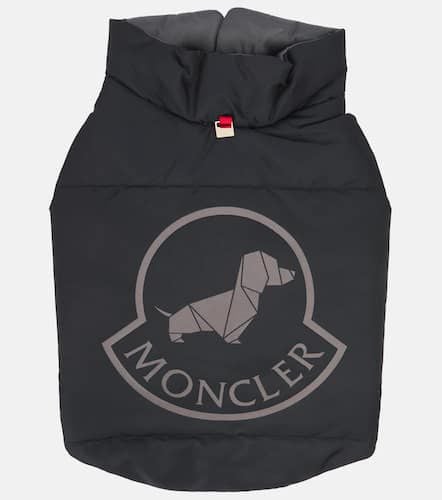 Poldo Dog Couture dog coat - Moncler - Modalova