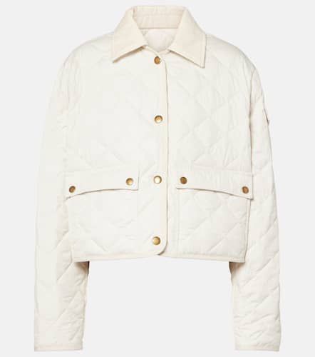 Moncler Steppjacke Chitre - Moncler - Modalova