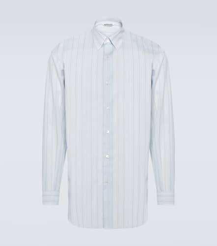 Striped cotton organza shirt - Auralee - Modalova