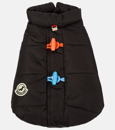 Poldo Dog Couture - Cappotto per cani - Moncler - Modalova