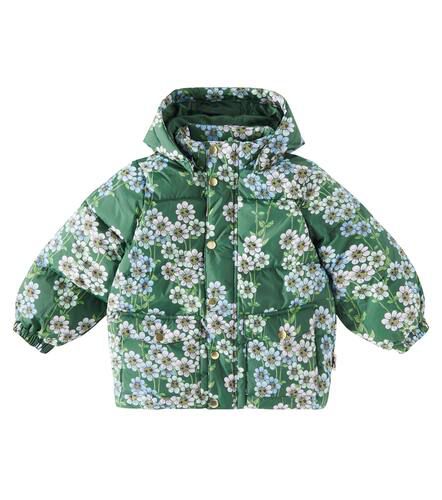 Chaqueta acolchada Daisys floral - Mini Rodini - Modalova