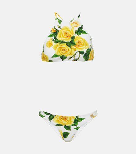 Dolce&Gabbana Floral bikini - Dolce&Gabbana - Modalova