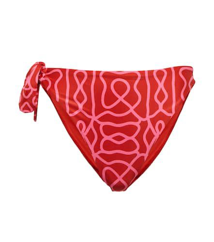 Braga de bikini Coral estampada - Agua by Agua Bendita - Modalova